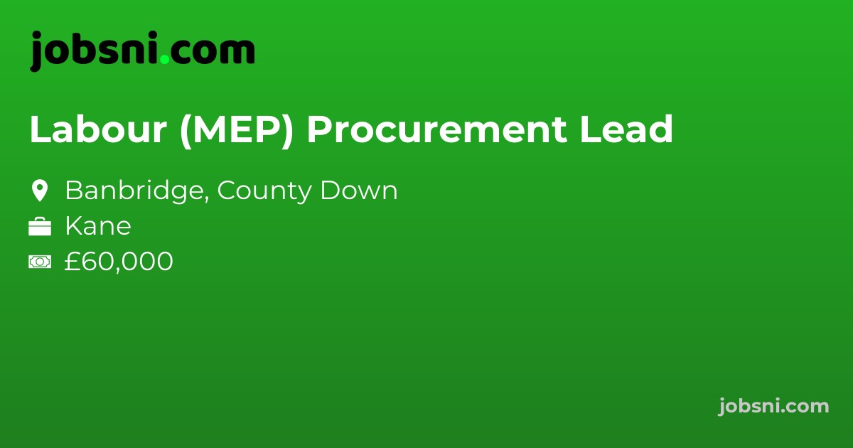 Labour (MEP) Procurement Lead