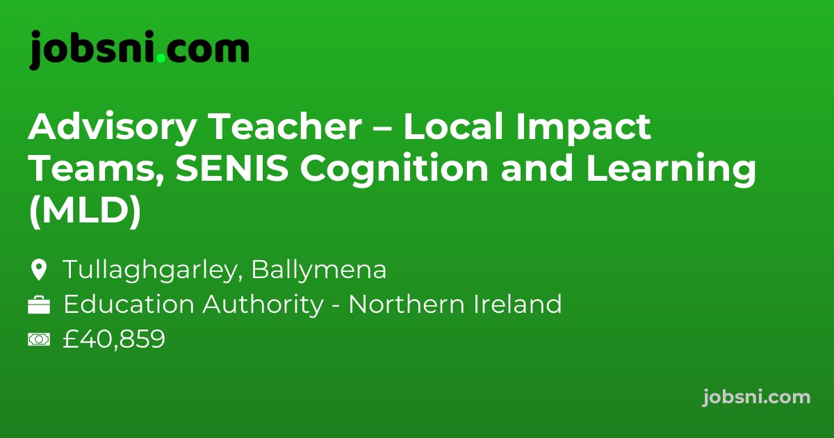 Advisory Teacher – Local Impact Teams, SENIS Cognition and Learning (MLD)